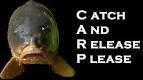 carp